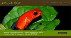 Desktop Screenshot of carlosdelarosa.com