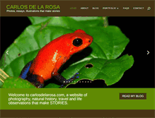 Tablet Screenshot of carlosdelarosa.com